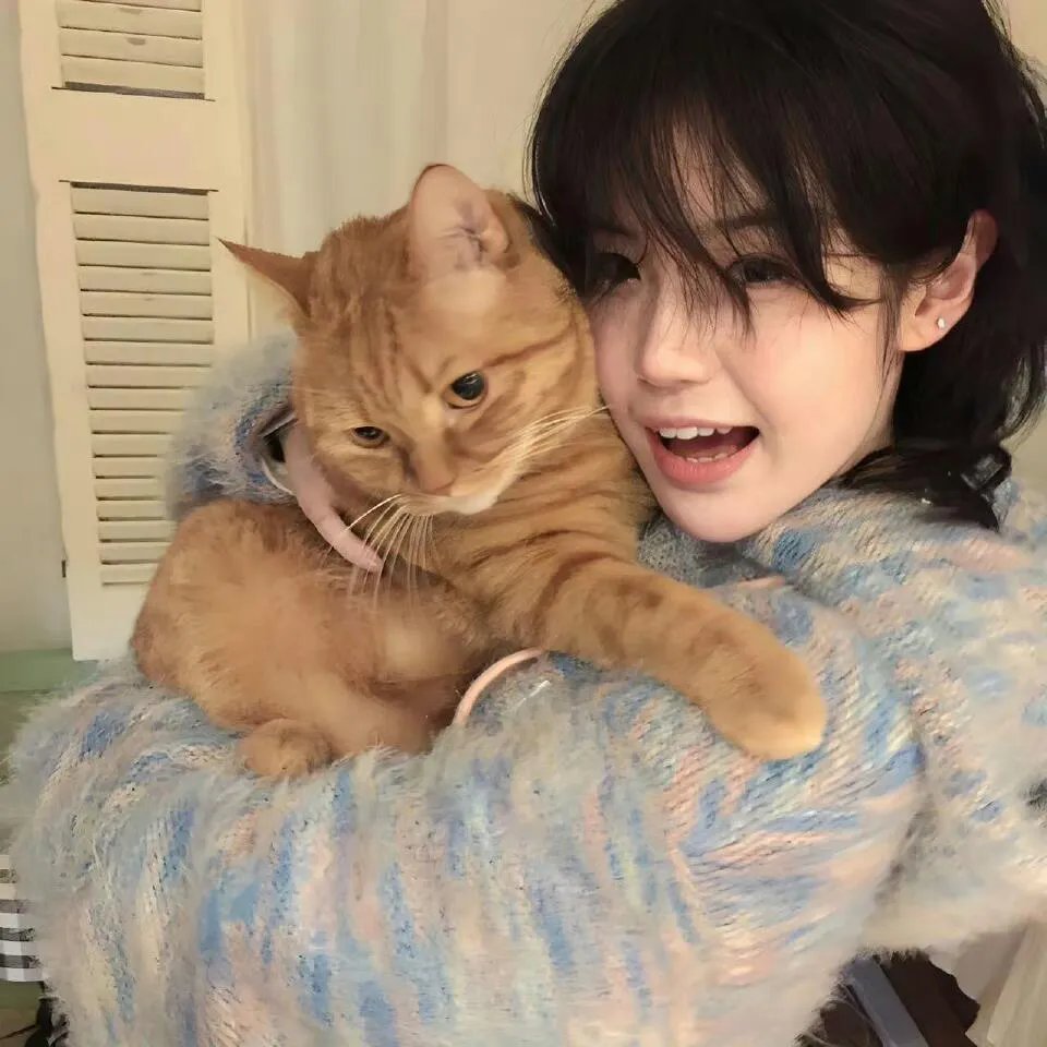 猫和老鼠：飙风天王